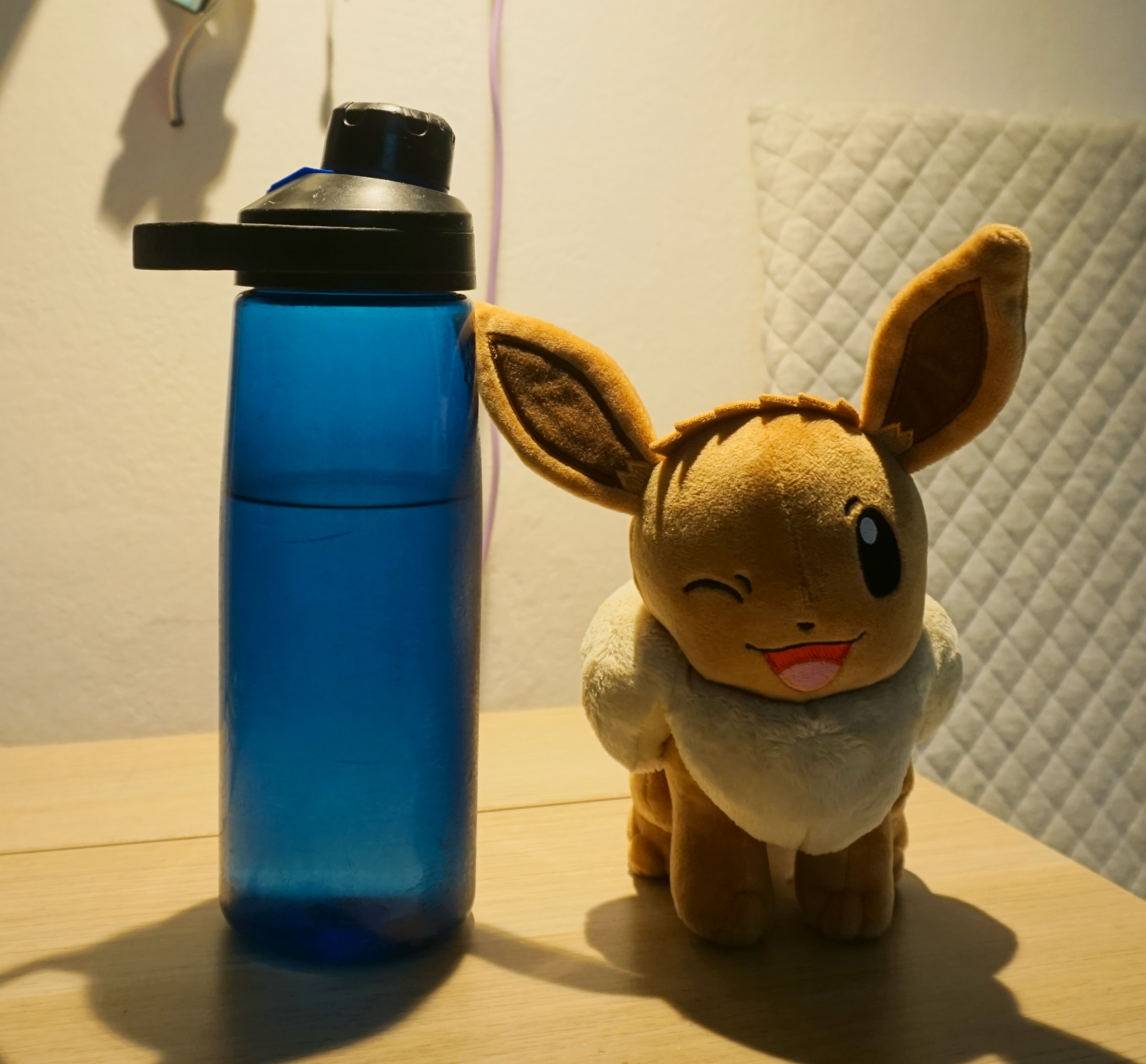 My water bottle and a Evoli Pokemon Plushie